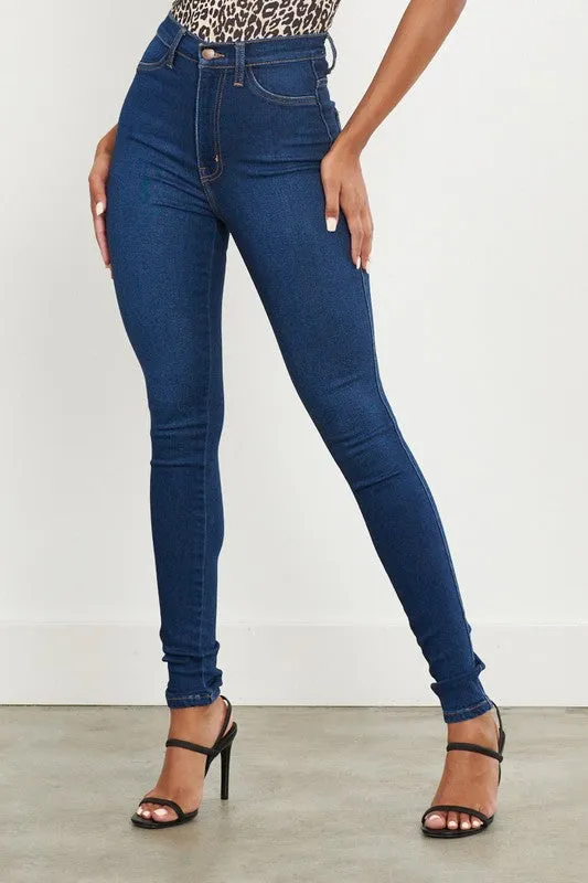 Nikki High Waisted Classic Skinny Jeans