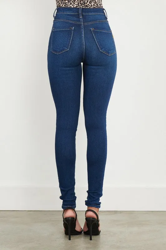 Nikki High Waisted Classic Skinny Jeans